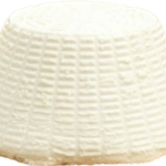 RICOTTA