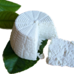 RICOTTA
