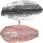 ΣΑΡΔΕΛΑ ΦΙΛΕΤΟ IQF-5kg