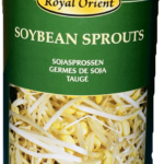 SOYBEANS SPROUTS IN WATER