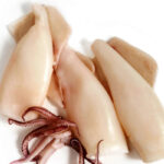 Squid Cleaned India