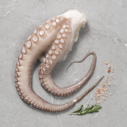 Χταπόδι Πλοκάμι Τ1 Μαρόκου